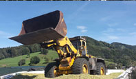 heading_silage