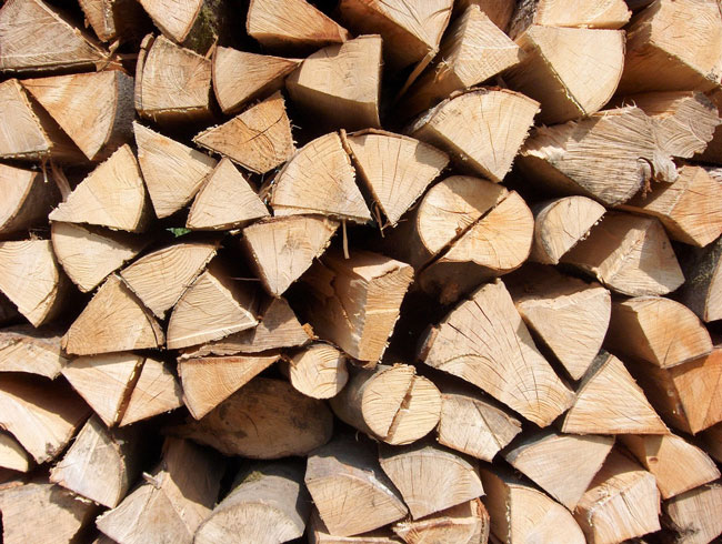 Einfach Brennholz online bestellen.