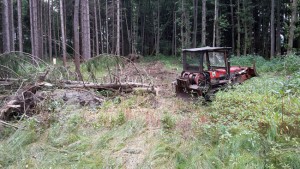 holz-ruecken-miesbach